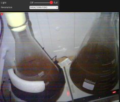 Screenshot_20250907_133815_Chrome.jpg