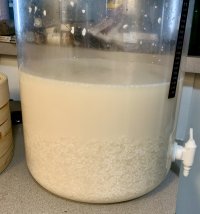 IMG_3186.jpeg