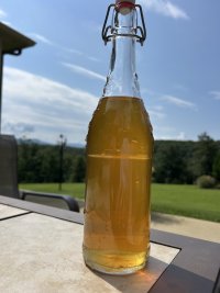 IMG_1252.jpeg