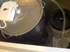 IMG_2413[1].JPG