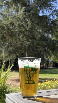 IMG_6125.jpeg