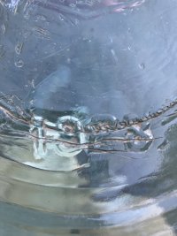 IMG_1428.jpeg