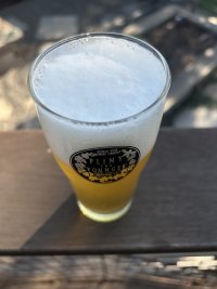 IMG_6404.jpeg