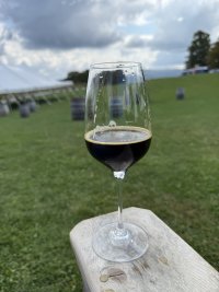 IMG_2910.jpeg
