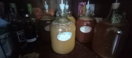 IMG_20250915_165536421.jpg