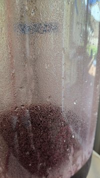 Pinot_Tartaric.jpg