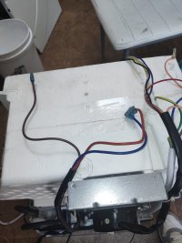 IMG_20250921_113247043.jpg