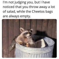 FB_IMG_1758743061234.jpg