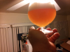 ForumRunner_20130218_225056.png