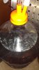 ForumRunner_20130221_075435.jpg
