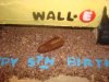 wall-e4.jpg