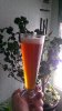 ForumRunner_20130318_175206.jpg