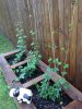 image-4100485139.jpg