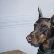 RedDobe