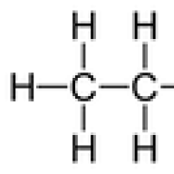 PocketLnt