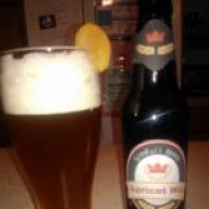 SinnFullHooch