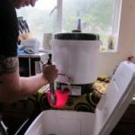 Brew_Stein