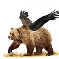 BirdBear