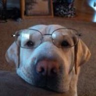 Tucker