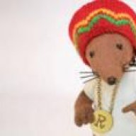 rastamouse