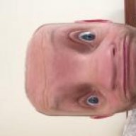 dataglo