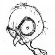 DirtyBurd