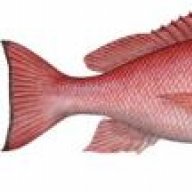 Father_Fishmonger