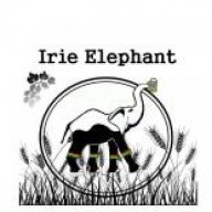 IrieElephant