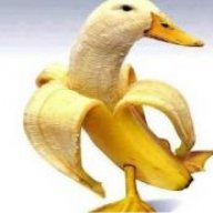 BananaDuck