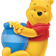 CityBear