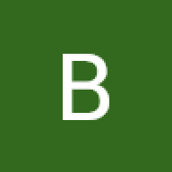BertusBeensteen