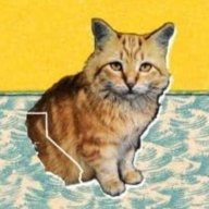 bestcoast