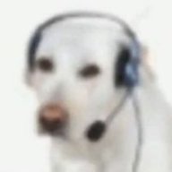 RNDDYS