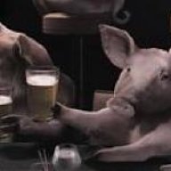txbeerbq