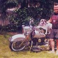 BorisBulldog