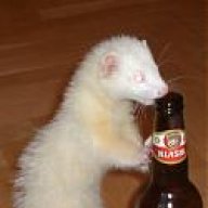 BeerFerret