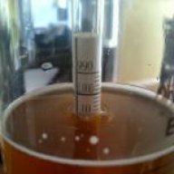 beernwine