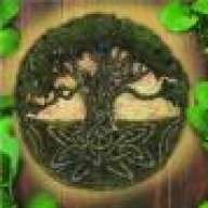 BrewDruid