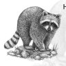 pHBTa