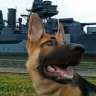 GSD_Handler