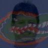 gatorjj
