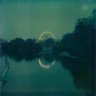 timeforest