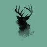 ModestDeer