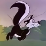 SkunkFunkk