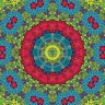 Hop tropic