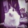 Eric_CHBS