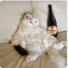 GoodGourdPlease
