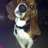 BassetBrew