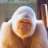 Aboo