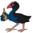 Taubin